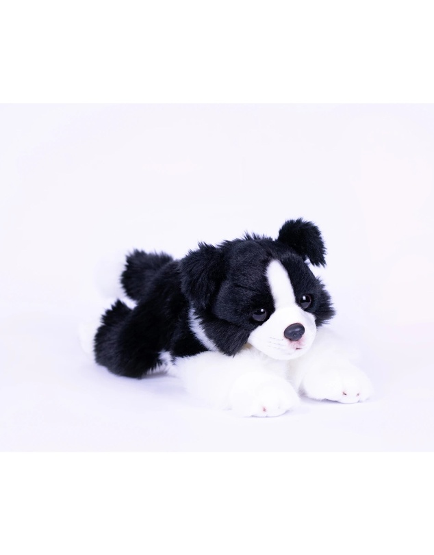 Animal Allsorts - Jasper Border Collie