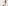 Wedding lookbook summer bride 2021 bridal dresses and wedding guest outfit ideas