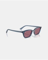 Ray-Ban - RB4456