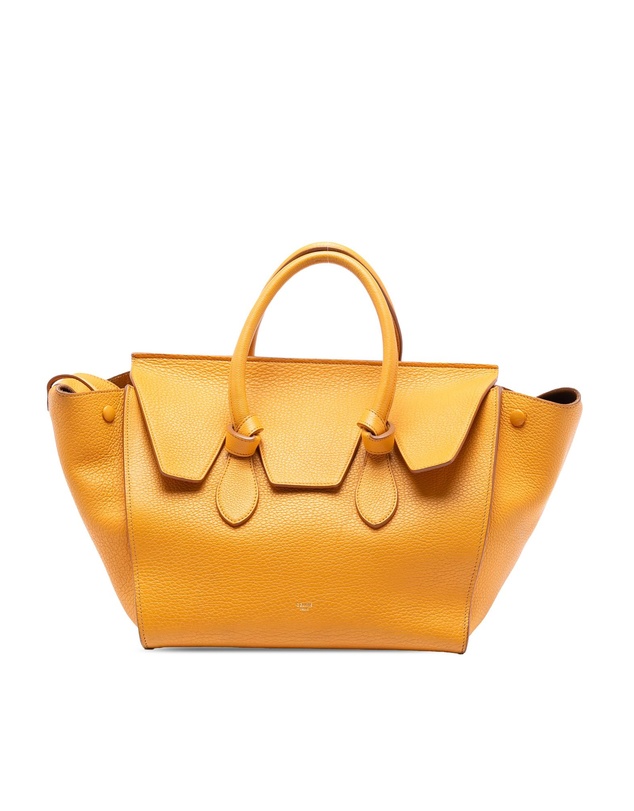 Pre-Loved by Azura Reborn - Pre-Loved Small Grained Calfskin Tie Knot Handbag