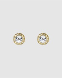 Ted Baker - Soletia Solitaire Sparkle Crystal Stud Earrings
