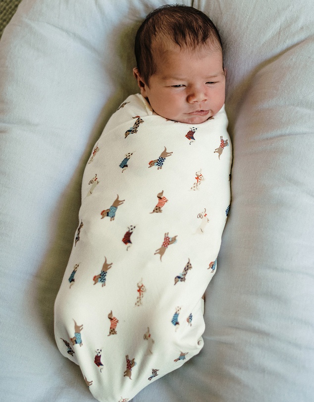 Kynd Baby - Large Stretchy Swaddle in Dachshund