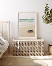 Olive et Oriel - Little Turtle II Art Print