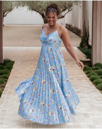Petal & Pup - Naira Pleated Maxi Dress - Cornflower Blue Floral