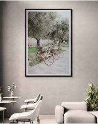 Amichi Co - Classic Cruisers Fine Art Print