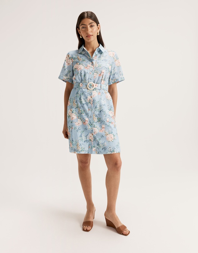 Review - La Bella Shirtdress