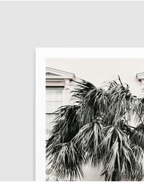Olive et Oriel - Dolce Vita Art Print