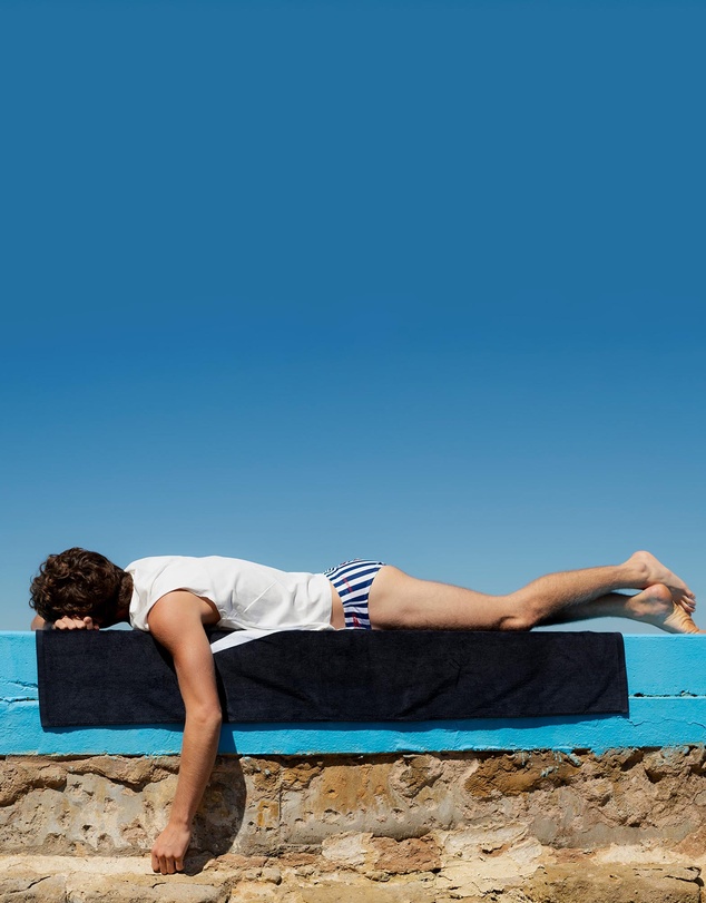 Speedo - E Stripe Brief