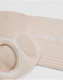 Country Road - Australian Cotton Rib No-show Sock Pack Of 3