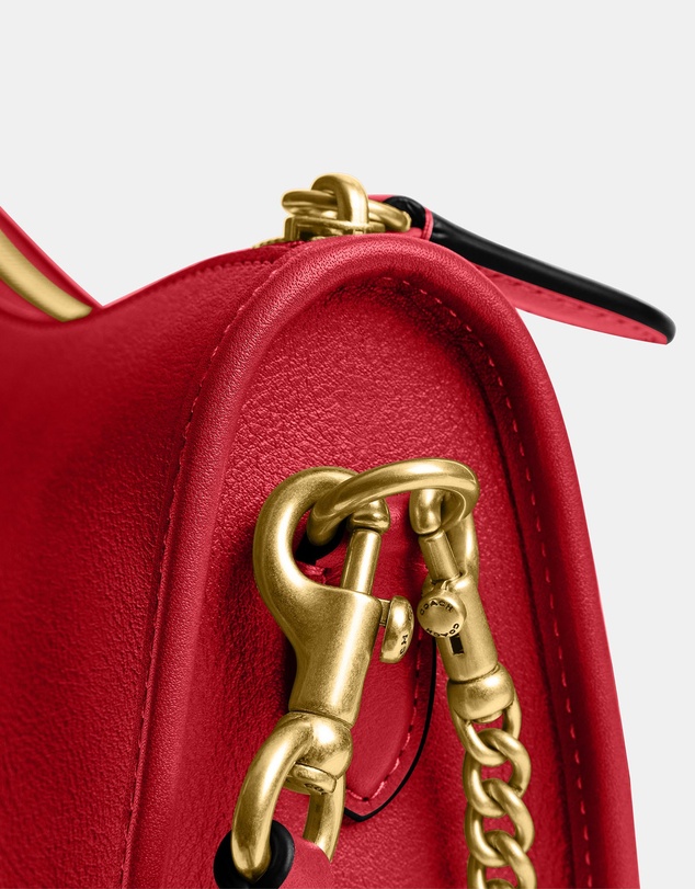 Coach - Natural Grain Leather Waverly Bag