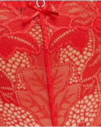 Sans Complexe - Arum Prima Mid Rise Sheer Stretch Lace Brief