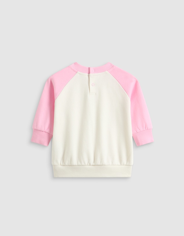 Seed Heritage - Colourblock Logo Sweat