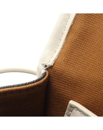 Pre-Loved by Azura Reborn - Pre-Loved Medium Triomphe Coated Canvas Folco Crossbody