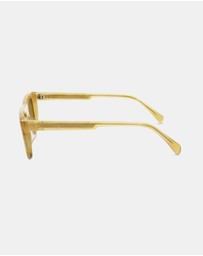 AM Eyewear - Steeb Large