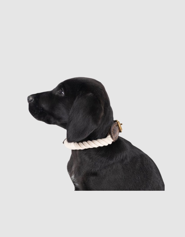 Mog & Bone - Rope & Leather Dog Collar- Natural