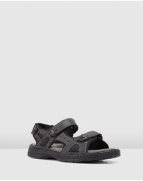 Hush Puppies - Simmer
