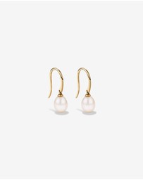 Michael Hill - Drop Earrings with Cultured Freshwater Pearl in 10kt Yellow Gold