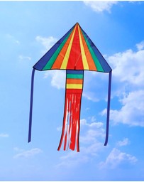 Freeplay Kids - Rainbow Delta Fun Kite
