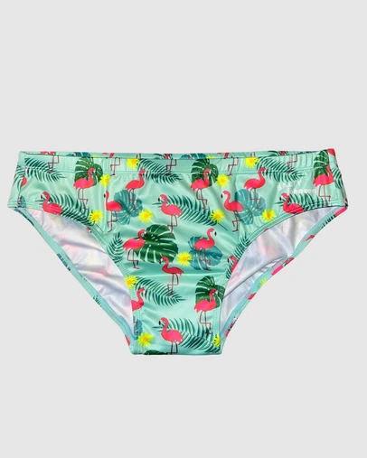 Salty Johnson - Flamingos Brief
