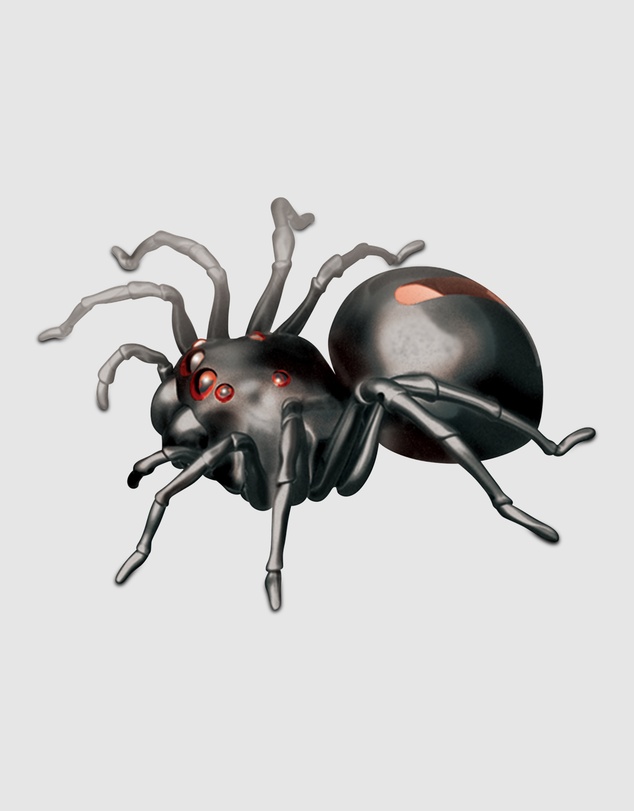 JOHNCO - Johnco - Salt Water Spider Kit