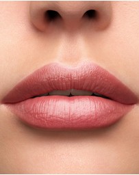 Lancome - L'Absolu Rouge Cream Lipstick 01