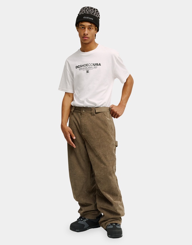 DC Shoes - Mens Snow Carpenter 10K Snow Pants
