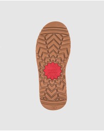 Ozwear Connection Uggs - Ugg Classic Bailey Bow Boots (Water Resistant)