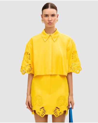 Daffodil