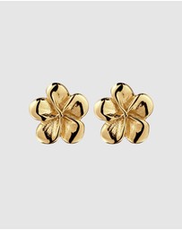 Elli Jewelry - Frangipani Stud Earrings in Gold-Plated 925 Sterling Silver