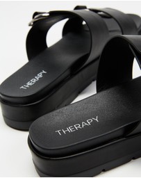 Therapy - Litmus