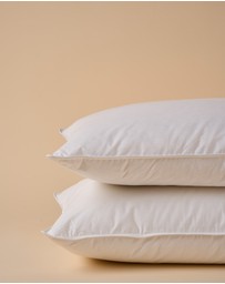 Linen House - Duck Down Pillow