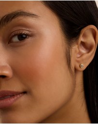 Ted Baker - Sinee Mini Crystal Stud Earrings