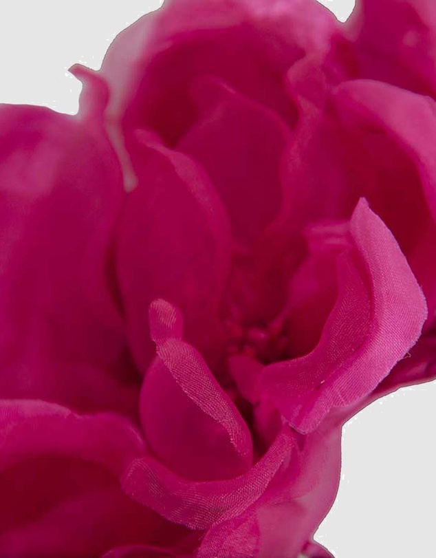 Fillies Collection - Large Fuchsia Flowers Headband