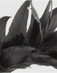 Max Alexander - Modern Black Racing Fascinator