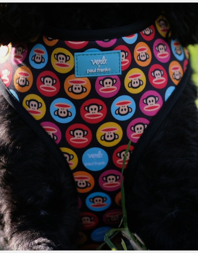 Verb - Dog Pet Harness