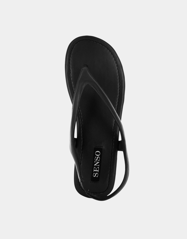 Senso - Nessa