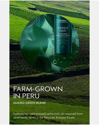 Aveda - Botanical Repair Bond-Building Pre Shampoo Treatment