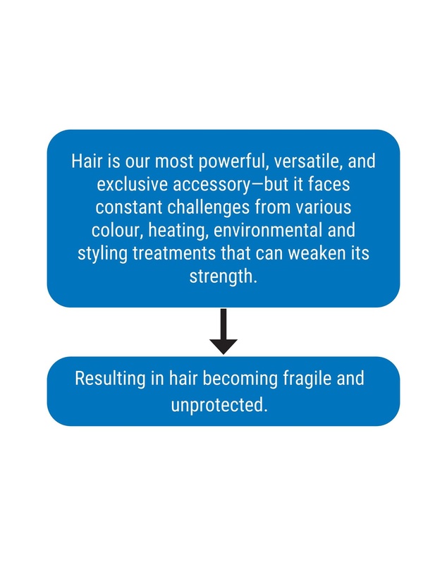 Silk Oil of Morocco - Silk Oil of Morocco - The Repair Protein Argan Collection (Everything You Need)