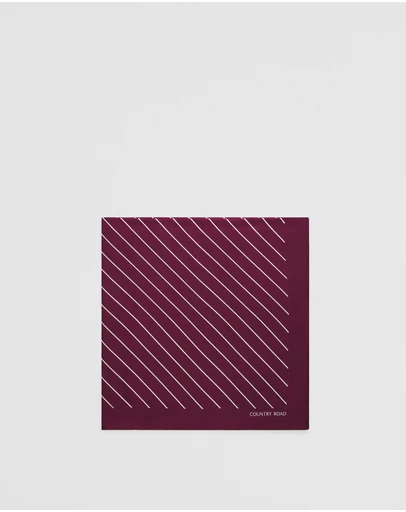 Country Road - Silk Stripe Scarf