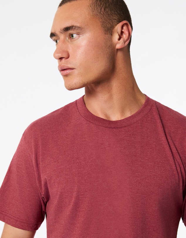 American Apparel - Unisex Short Sleeve CVC T-Shirt