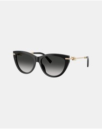 Tiffany & Co. - 0TF4253