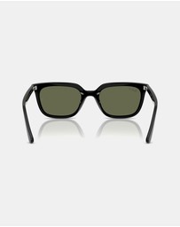 Ray-Ban - 0RB4439D
