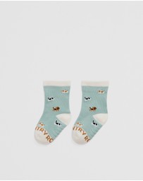 Country Road - Dog Sock