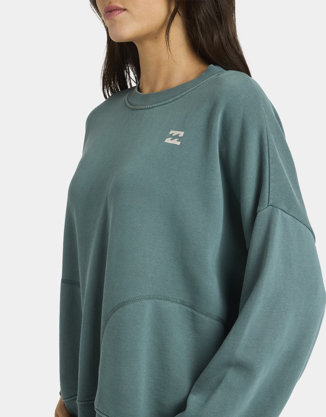 Billabong - Womens Don't Forget Pullover Crew Neck