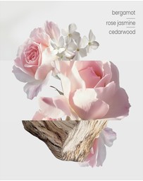 Kirri by Scent Australia Home - Botanical Gardens Smart Oil (Formerly Jardin De Carthage)