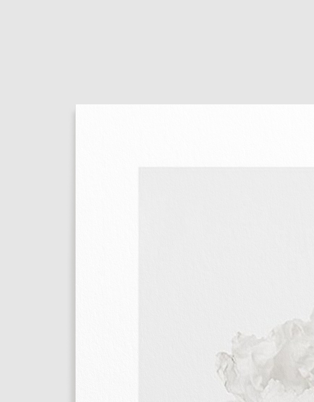 Olive et Oriel - White Poppy I Art Print