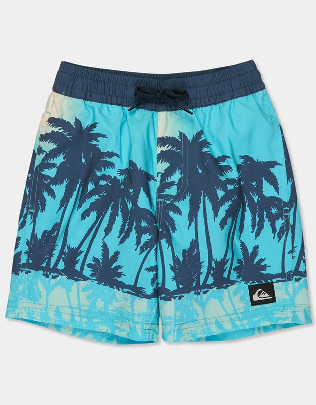 Quiksilver - Boys 2 to 7 Everyday Printed 13