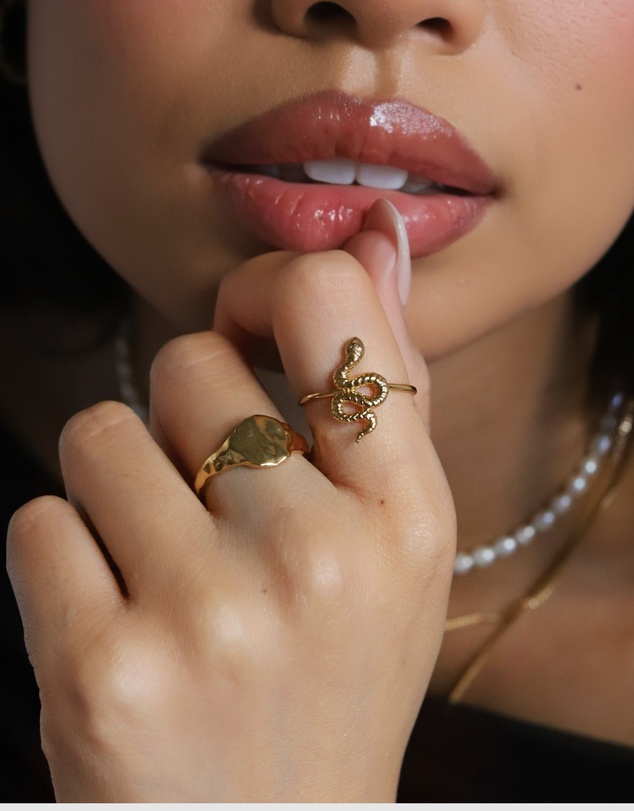 HOUSE OF SLANI - Flat Natura Signet Ring