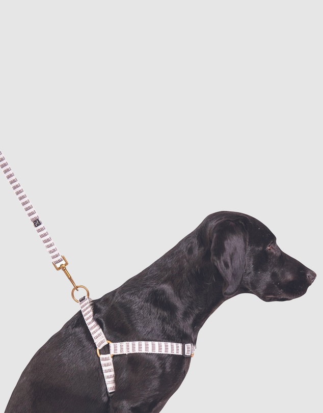 Mog & Bone - Hemp Dog Harness - Latte Mosaic Print