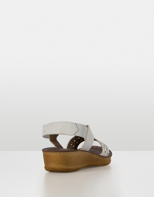 CoraSol - Sail